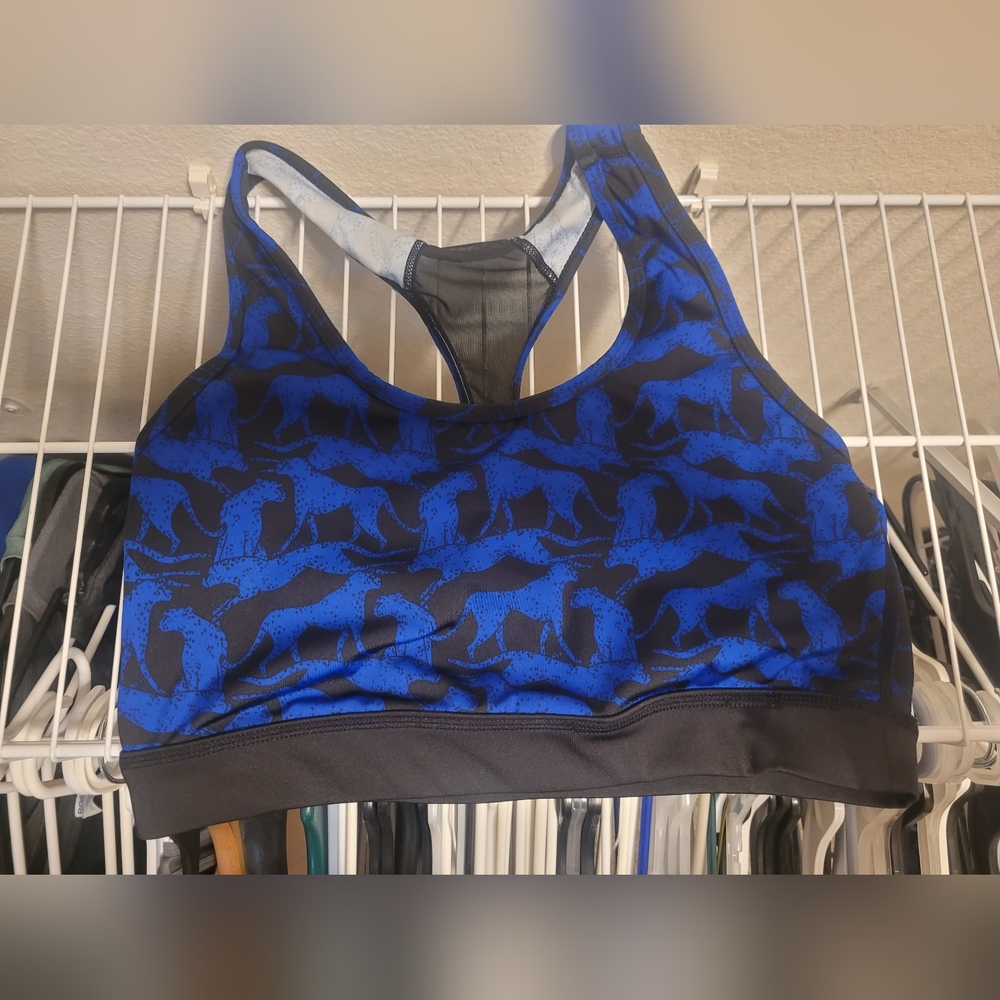 LulaRoe Invincible Bra